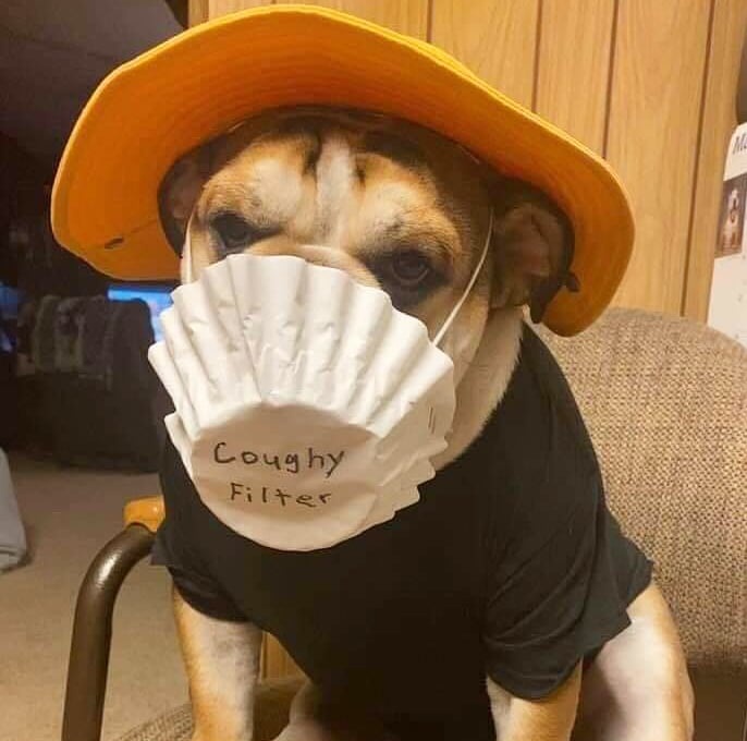 cardscharlie22's tweet image. Good morning! Sorry..I couldn't help it 🙄.. Have a very happy, healthy and terrific Tuesday 🌅