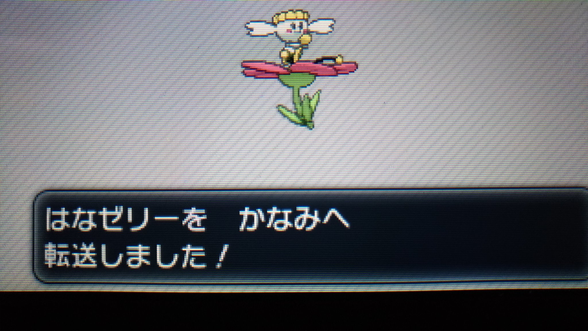 花ゼリー Twitter Search Twitter