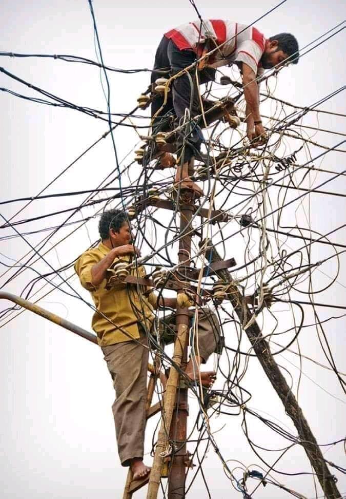 PeterAlright's tweet image. That's y someone is insisting scientists r needed