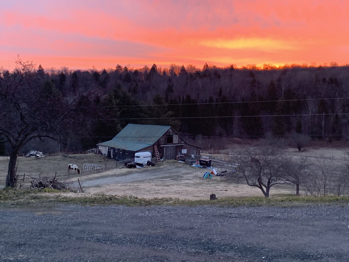 silverridge2010's tweet photo. #homestead #farm #redsky https://t.co/adanLwko3s