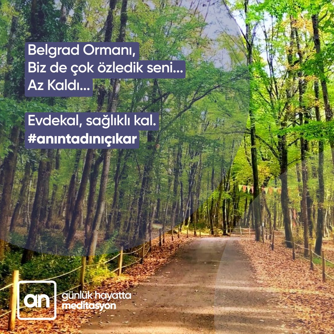 Doğadaki bahar ışıltısını, temiz havanın kokusunu hepimiz çok özledik, az kaldı. Evde Kal, 

ow.ly/DfoY50zicRB

#evdekal #meditasyonyap #anapp #meditasyon #covid_19 #sakinkal #sağlıklakal #mindfulness #heranyanında #anıntadınıçıkar
