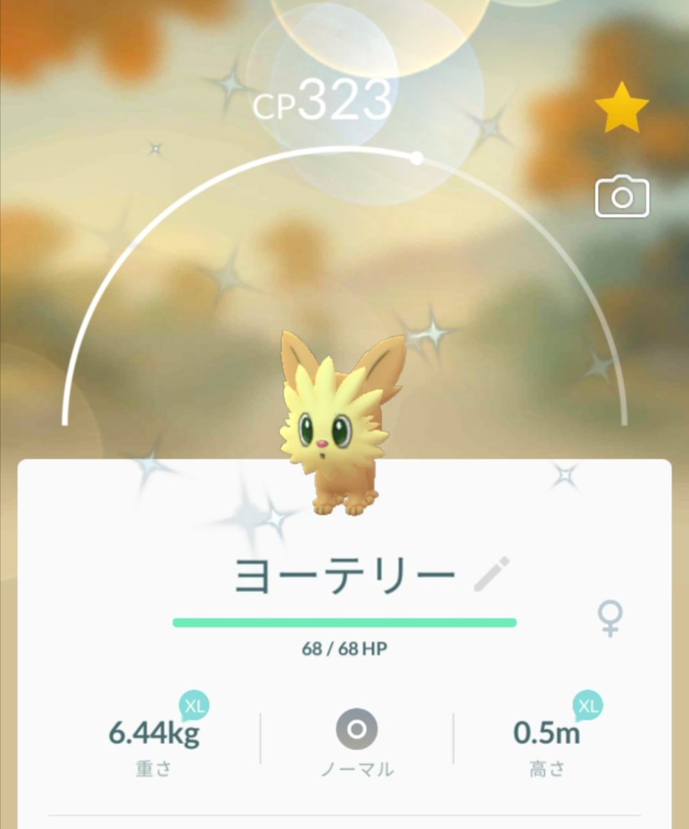 ポケモンgo 分かりづらい色違いヨーテリー 相棒イベントでリベンジできるのか ポケモンgo攻略まとめ速報