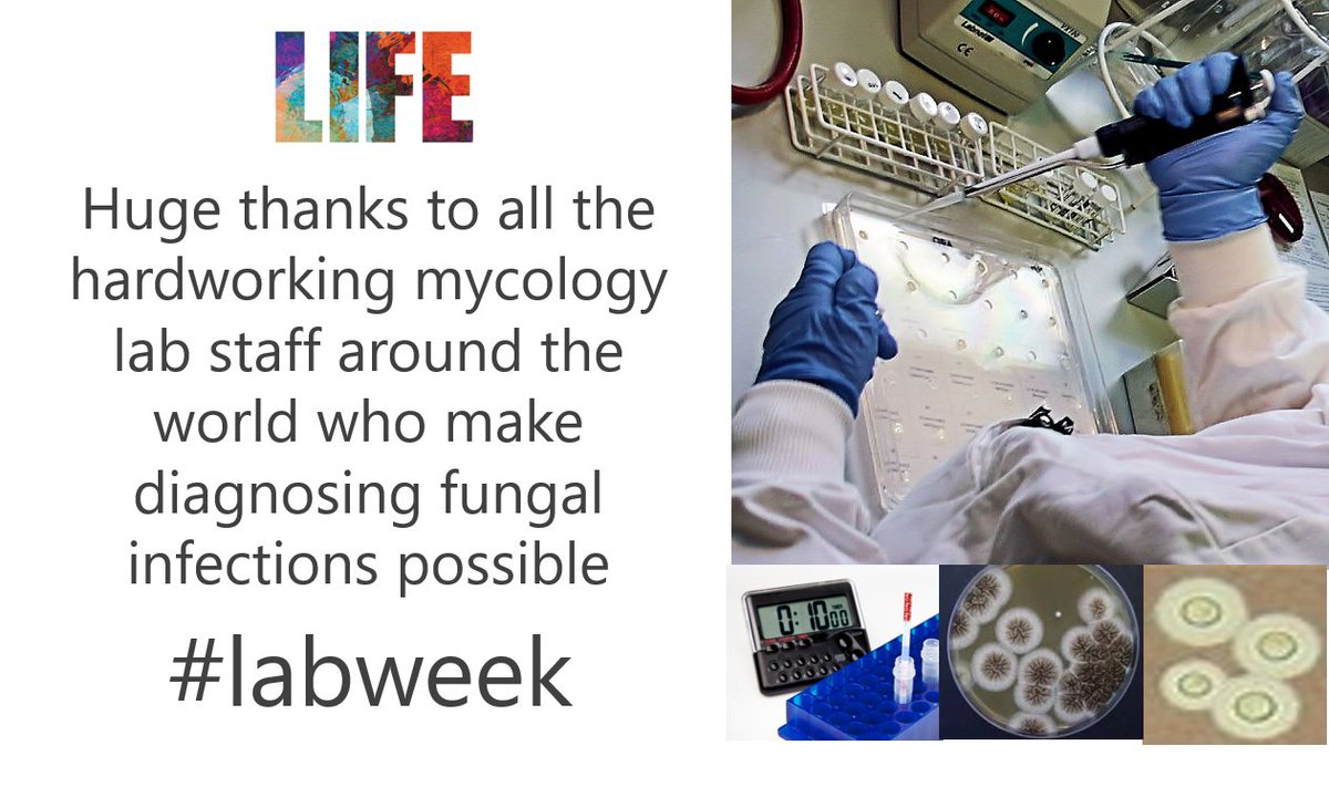 LIFE Worldwide (@lifeworldwide) on Twitter photo <a href="/MycologyRefManc/">Mycology Reference Centre Manchester</a> <a href="/ISHAM_Mycology/">ISHAM</a> <a href="/Emory_MedMicro/">Emory_MedMicro</a> <a href="/Myco_nijmegen/">Center of Expertise in Mycology Radboudumc/CWZ</a> <a href="/MayoClinicINFD/">Mayo Clinic Infectious Diseases</a> @GMMG_Ghana <a href="/MMSNIG/">MMSN</a> <a href="/microRyC/">Microbiología Clínica RyC 🧫🔬🦠</a> <a href="/MicrobioSoc/">Microbiology Society</a> <a href="/eurconfmedmycol/">ECMM</a> #webms #labweek @medmycol <a href="/TMC_online_/">Türk Mikrobiyoloji Cemiyeti</a> @labmycology <a href="/MiraVistaLabs/">MiraVista Diagnostic</a> @BSMM_Junior <a href="/IDSAInfo/">IDSA</a> @thefunguskidd <a href="/ESCMID/">ESCMID</a> <a href="/MSG_ERC/">MSGERC</a> @aphl <a href="/MycologyRefManc/">Mycology Reference Centre Manchester</a> <a href="/ISHAM_Mycology/">ISHAM</a> <a href="/Emory_MedMicro/">Emory_MedMicro</a> <a href="/Myco_nijmegen/">Center of Expertise in Mycology Radboudumc/CWZ</a> <a href="/MayoClinicINFD/">Mayo Clinic Infectious Diseases</a> @GMMG_Ghana <a href="/MMSNIG/">MMSN</a> <a href="/microRyC/">Microbiología Clínica RyC 🧫🔬🦠</a> <a href="/MicrobioSoc/">Microbiology Society</a> <a href="/eurconfmedmycol/">ECMM</a> #webms #labweek @medmycol <a href="/TMC_online_/">Türk Mikrobiyoloji Cemiyeti</a> @labmycology <a href="/MiraVistaLabs/">MiraVista Diagnostic</a> @BSMM_Junior <a href="/IDSAInfo/">IDSA</a> @thefunguskidd <a href="/ESCMID/">ESCMID</a> <a href="/MSG_ERC/">MSGERC</a> @aphl