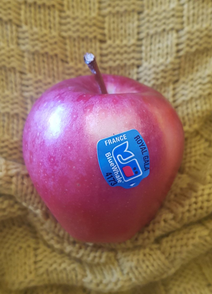  #LockdownLearningBeing a teacher means having a room full of people discussing and questioning. During lockdown I miss that so I decided to pick something in my house to learn about. I highly recommend people try this.I chose the humble apple...