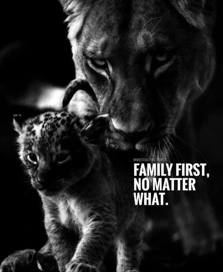 1_synergy's tweet image. #Support81 #Support81_World_Wide @support81socal @Support81world1 @Support81Mtl @_the1Seventeen_ @Smitty__54 @justinhill46 @paynekailey1 @kameron_payne @rynopowerlife