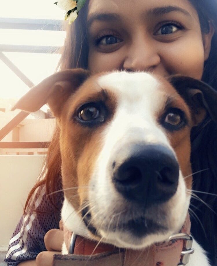 Quick message from the little Snow (now a BIG boy) who got adopted 3 years back and his mum ❤️ Stay indoors, be pawsitive and resolve to feed as many strays as you can. 😊🐶 #QuarantineLife #dogsduringlockdown #dogsoftwitter