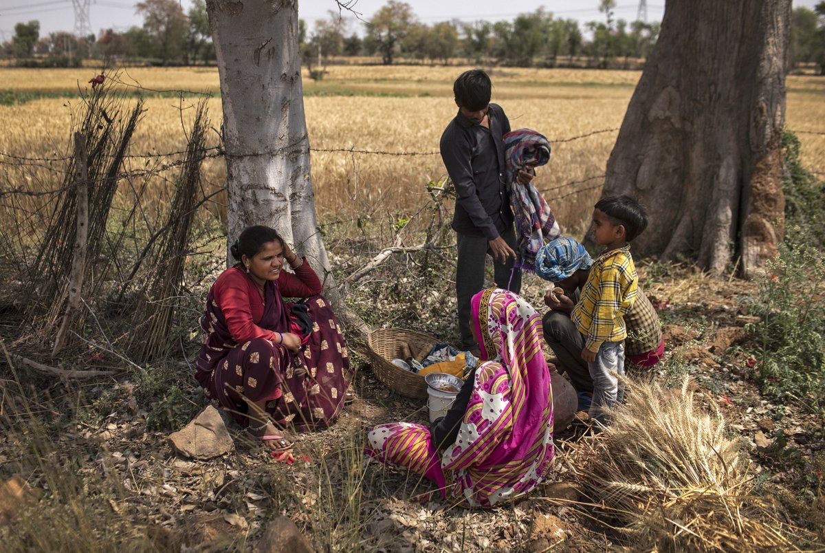 But for Dayaram and his family, life back here is even more difficult than the shanty town in Delhi they had migrated to. After three days harvesting wheat, they received no cash payment, just 50 kilos of the crop to take the village flour mill.