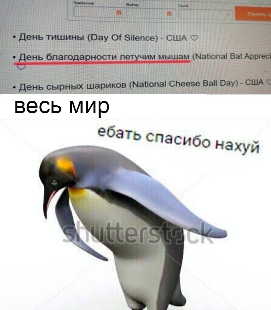 EWHtUZyXYAEDukF?format=jpg&name=medium