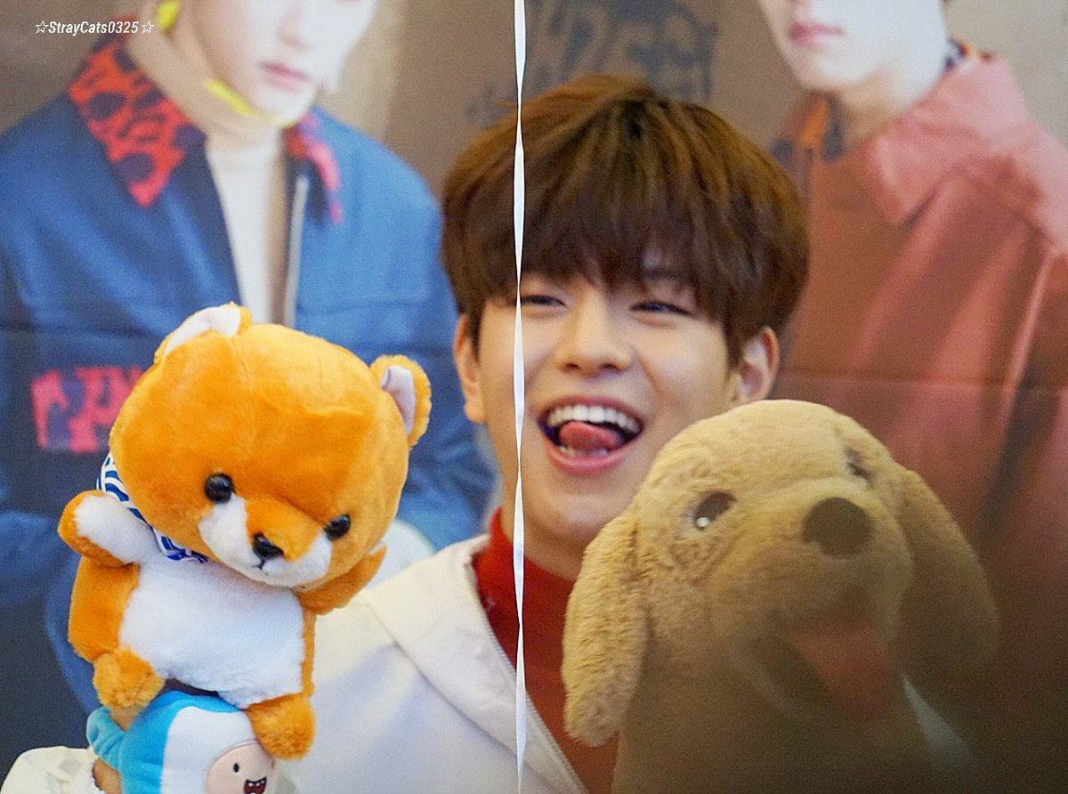 straykids スキズ テディベア teddy bear アイエン スンミン Straykids＊スキズ＊アイエンIG＊済州島のテディベア