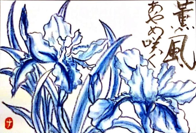 アヤメのtwitterイラスト検索結果 古い順