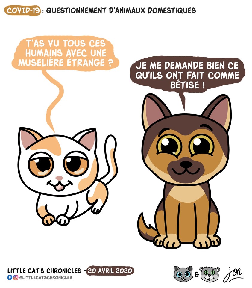 Blagues Et Dessins Su Twitter Little Cat S Chronicles Covid 19 Questionnement D Animaux Domestiques Retrouvez Jon T Co Pswmelihlf Jon Dessindejon Littlecatschronicles Humour Chats Coronavirus Covid19 Confinement