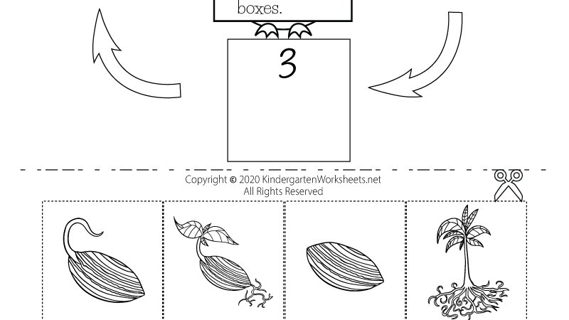 kindergarten wsheets on twitter we have a free science worksheet that goes well with this type of activity kids can learn the different stages of a plants life cycle by completing a
