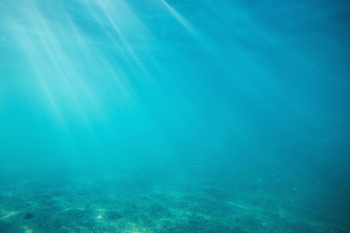 GAsolicitors's tweet photo. We are delighted to have advised Frontier Technical on a recent significant marine development project.
Partner, James Peterson is looking forward to supporting the team on developing the revolutionary design.
#marinetechnology #marinedevelopment
https://t.co/5v7hg6VBjD https://t.co/Vk7Qkr9ZdB