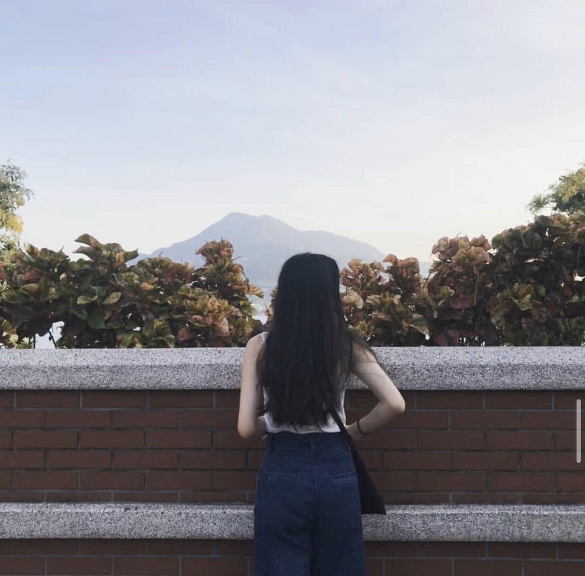 wang chengxuan pics tweet media