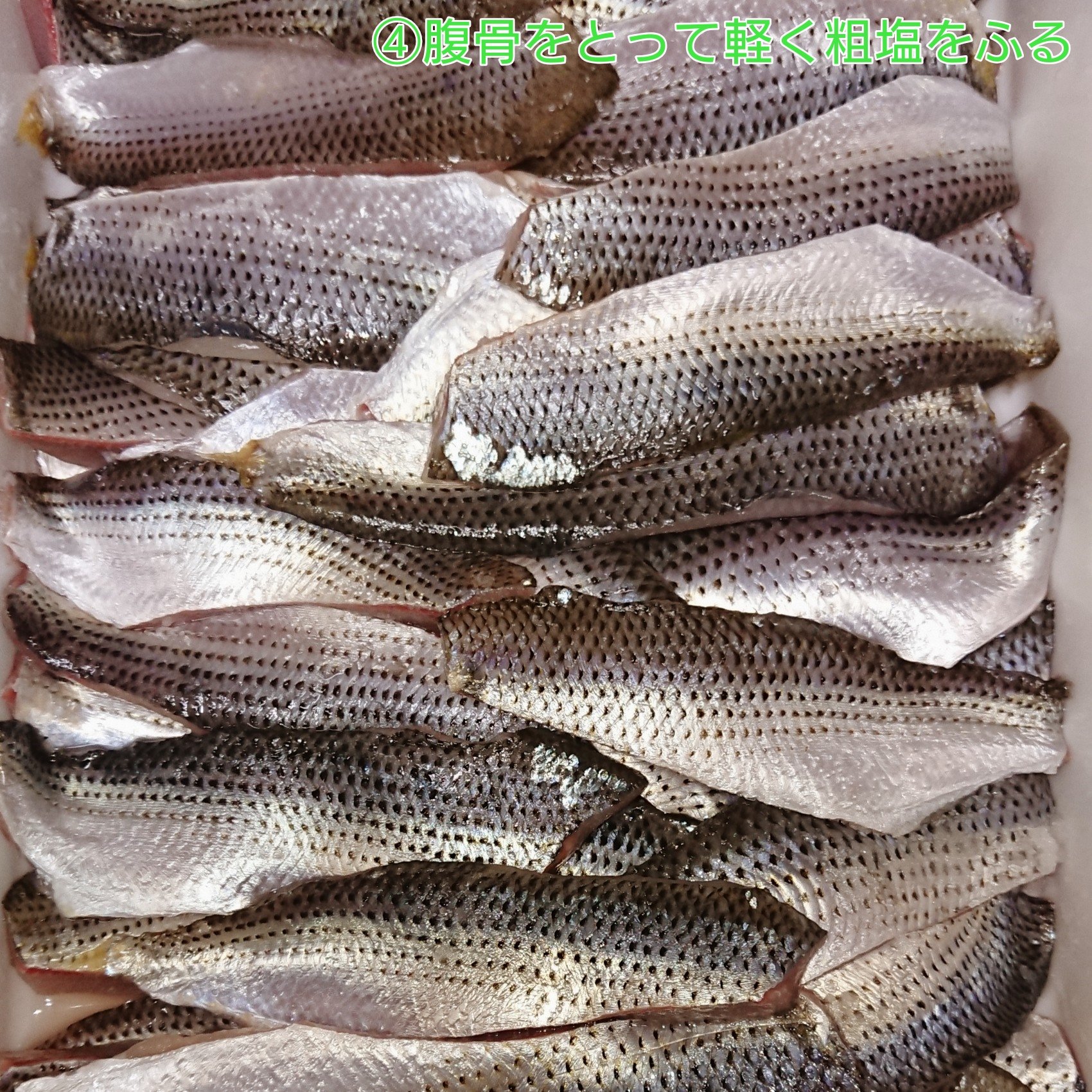 てくてく 鰶 コノシロ 鮗 という漢字よりこっちが好き たくさんもらって 小一時間ほどさばいてました 22匹もありがとうございました ちなみに家では8割方刺身 酢漬けです てくてく 鰶 コノシロ 鮗 という漢字よりこっちが好き たくさんもらって 小一時間ほどさばいてました 22匹もありがとうございました ちなみに家では8割方刺身 酢漬けです