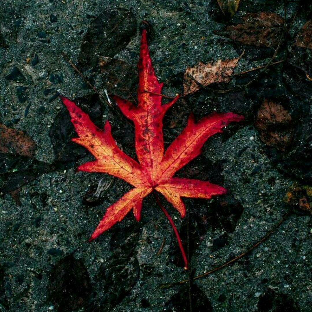 joelemmanuel339's tweet photo. #NewProfilePic https://t.co/6zOJFPLwXW