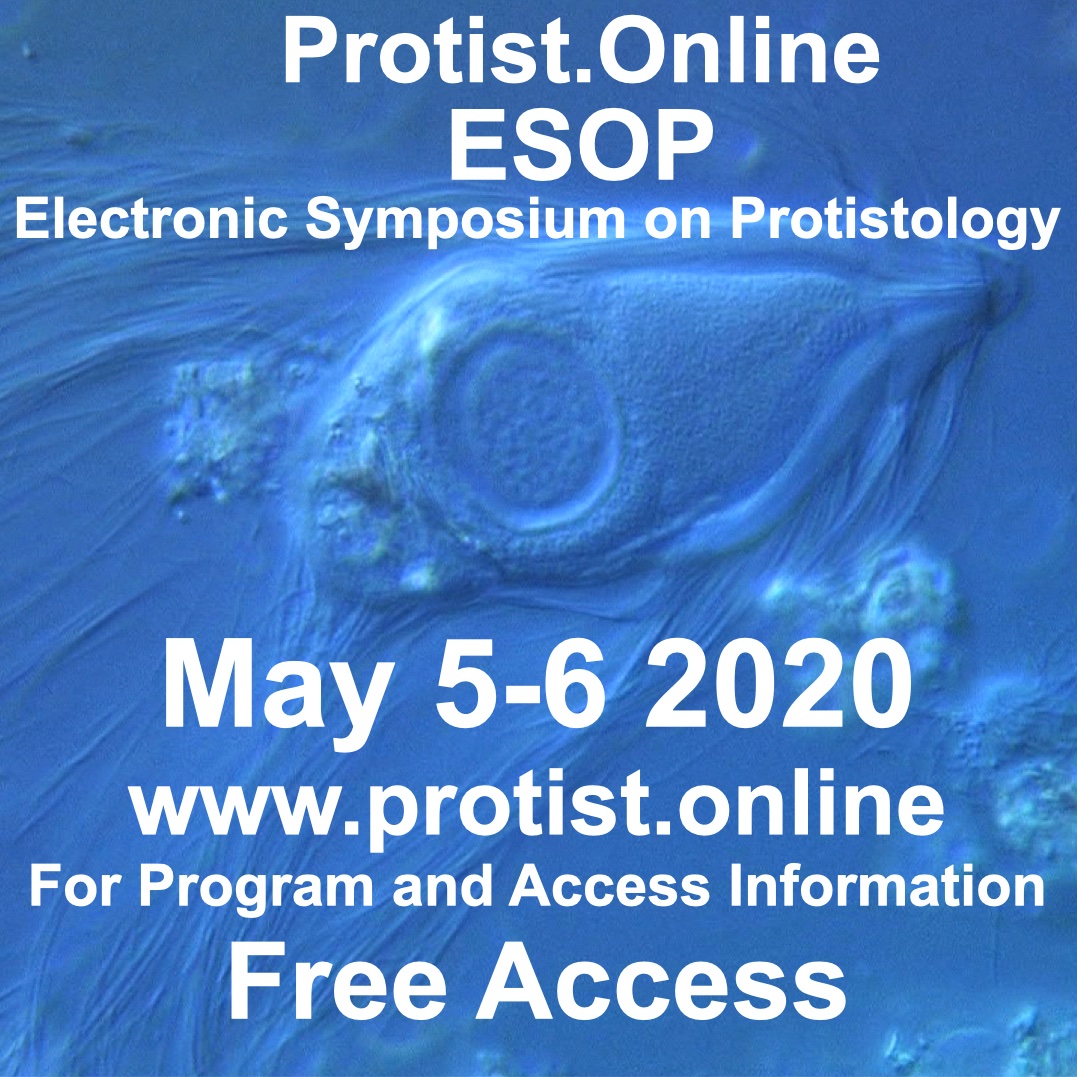 fonamental's tweet photo. Happy to announce that https://t.co/Vsf33YFf3S - The Electronic Symposium on Protistology is live and active 🎊 Check our program 📄and speakers 👩‍🔬 and save the date 📅 MAY 5-6 2020. Thanks to @isep and @PR2database for their help spreading the news! More info soon ⏰ https://t.co/ZKLrAS7U0F