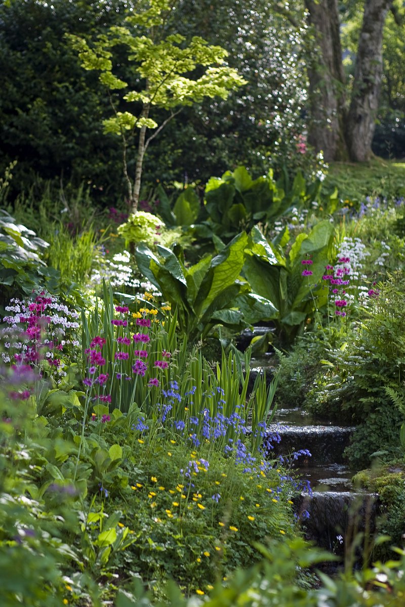 swallowbarnwd's tweet photo. When it is safe to come and see us again @nationaltrust Cotehele is definitely somewhere to add to the 'places to visit' list. It is a fabulous Tudor House with superb collections, garden, quay and estate! #stayhome #comebacklater https://t.co/EkabZoiLTH