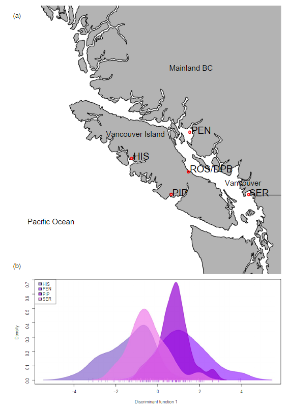 bsuther7's tweet photo. Our work on #PacificOyster popn #genetics by #RADseq throughout the Northern Hemisphere (farmed &amp; wild) is now avail in beautifully formatted Early View at #EvolutionaryApplications.
Great to see! Thanks for all comments via @biorxivpreprint &amp; #PeerReview. https://t.co/xtAyv9HP2j https://t.co/IM2RdZbwjj