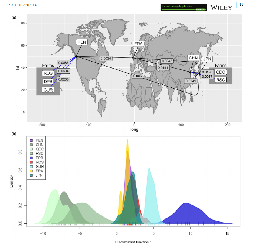 bsuther7's tweet photo. Our work on #PacificOyster popn #genetics by #RADseq throughout the Northern Hemisphere (farmed &amp; wild) is now avail in beautifully formatted Early View at #EvolutionaryApplications.
Great to see! Thanks for all comments via @biorxivpreprint &amp; #PeerReview. https://t.co/xtAyv9HP2j https://t.co/IM2RdZbwjj