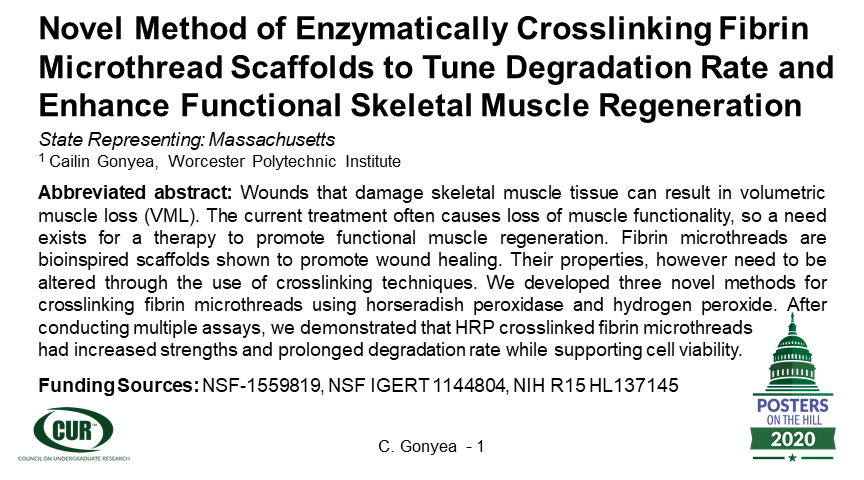 Cailin Gonyea tweet media