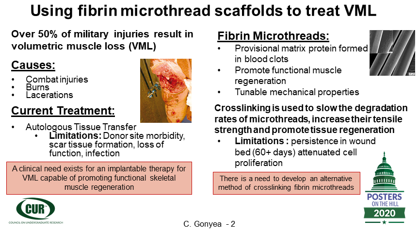 Cailin Gonyea tweet media