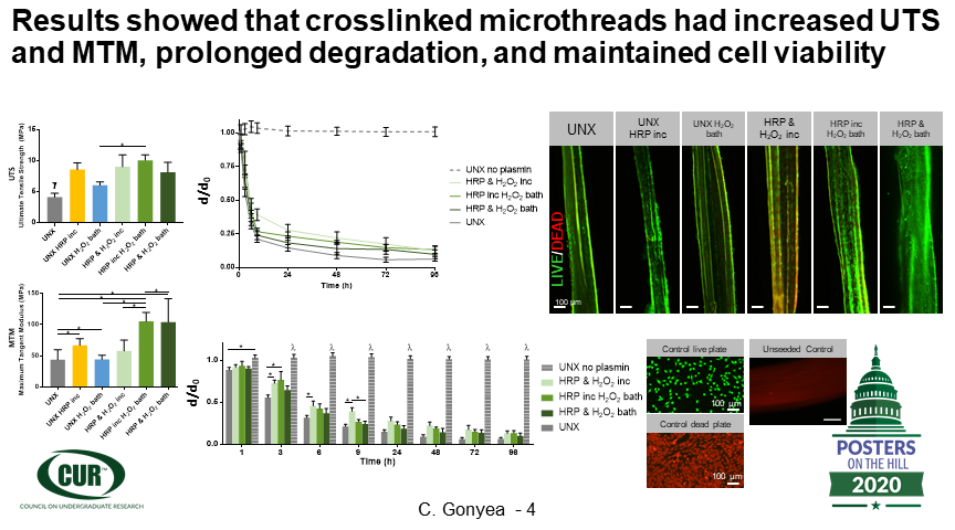 Cailin Gonyea tweet media