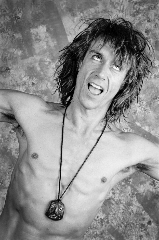 iggy pop birthday iggy pop birthday