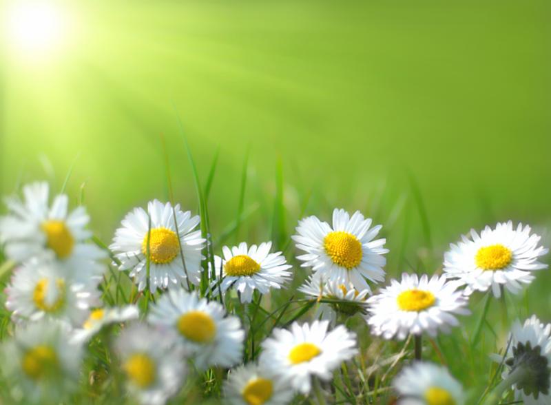 DrakeRealty's tweet image. Drake Realty 30 Years of Excellence and Support conta.cc/2QXrQOP