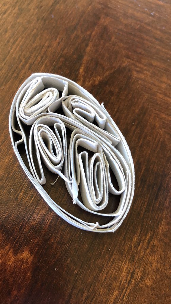 In typical Dylan-style, he decided to change up the rules for the #mathartchallenge with the toilet paper roll strips and build inside rather than out <a href="/anniek_p/">Annie Perkins</a>