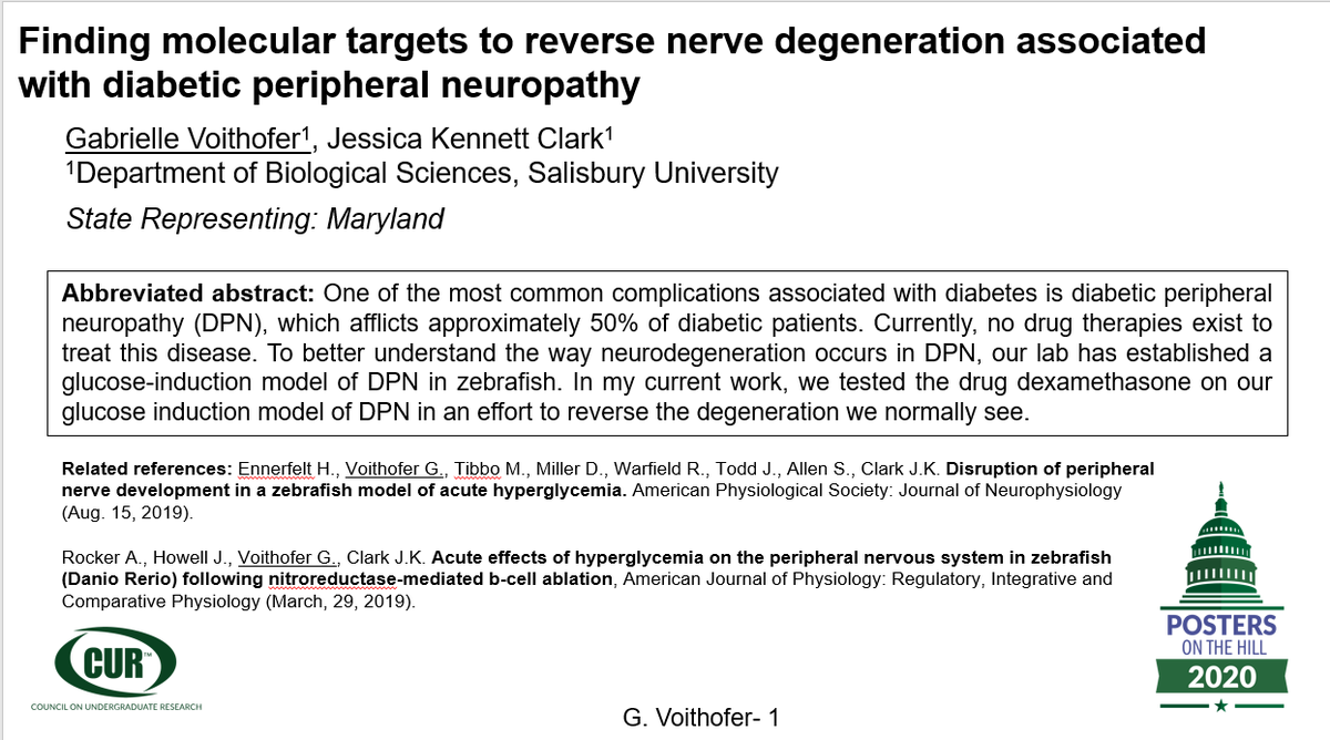 GVoithofer's tweet photo. In this study, dexamethasone was tested on a zebrafish model of diabetic peripheral neuropathy (DPN) in an effort to prevent or reverse peripheral nerve degeneration. We found a marked increase in nerve health following treatment with dexamethasone.#POH2020 #pohgoesvirtual https://t.co/O6Uee9nEwx