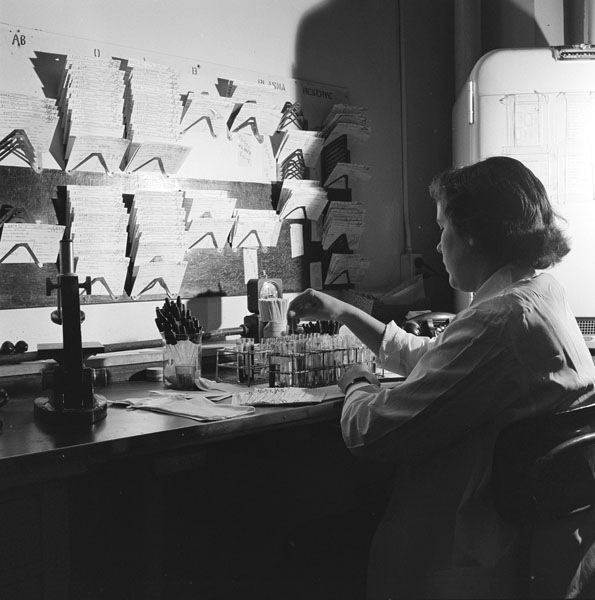 These 1956 photos by Richard Thompson show a lab technician at work in the Johns Hopkins Hospital blood bank.  @HopkinsMedicine   #LabWeek2020 https://medicalarchivescatalog.jhmi.edu/jhmi_perm...