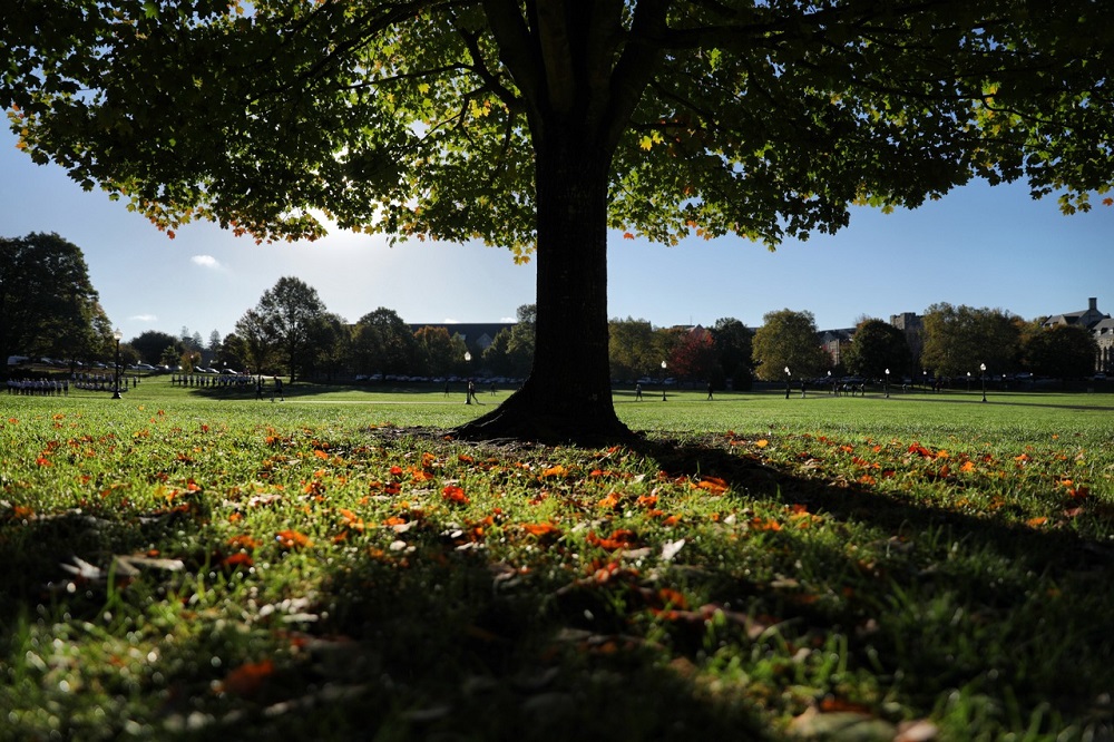 VTFacilities's tweet photo. We want to see your favorite tree! Post a photo of your favorite tree using the hashtag #arbordayathome and tag @arborday. The Arbor Day Foundation will plant a tree for every photos in the U.S. โ up to 50,000 trees. #VTEarthWeek https://t.co/qUzaIQngmP