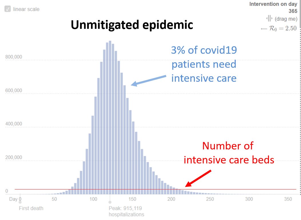 About 1: the graphs look as if an unmitigated epidemic would overstretch the health system capacity by a factor of 2 or 3. That's not what epidemiological modelling shows, as you can check yourself with this interactive model:  http://gabgoh.github.io/COVID/index.html?CFR=0.02&D_hospital_lag=5&D_incbation=5.2&D_infectious=5.54&D_recovery_mild=11.1&D_recovery_severe=5.54&I0=4739&InterventionAmt=0.43999999999999995&InterventionTime=36.685&P_SEVERE=0.04&R0=2.5&Time_to_death=32&logN=18.24