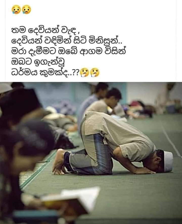 This is what we cannot understand
This is what we are trying to understand 
Praying before committing murder on People praying