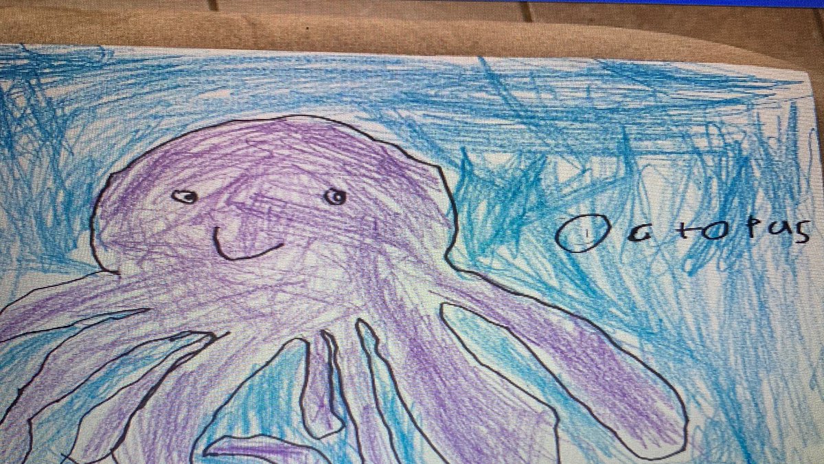 Grade1School4's tweet photo. Our favorite animals that we saw on our virtual field trip to the Seattle Aquarium....#firstgrade #school4 #weloveourvirtualfieldtrips #learningandexploring https://t.co/b9kbocSfFF