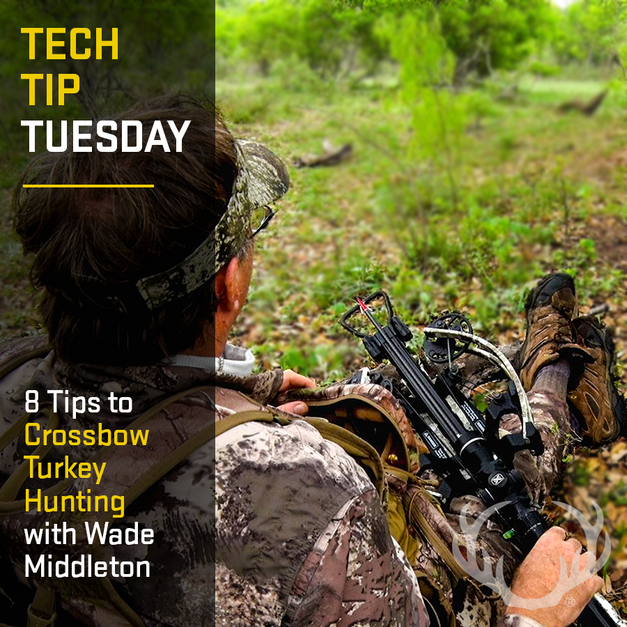 "I really didn’t think it would be that different, BUT I've learned the hard way."

Read Wade Middleton's Top 8 Tips to Turkey Hunting with a Crossbow -&gt; bit.ly/2RTTnB4

#tenpointcrossbows #crossbow #turkeyhunting