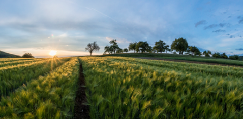 Divorce can be kind.

Divorce does not have to be harsh, expensive, and stressful. Find out how you can have a kind divorce that ensures your best interests are protected: solomonslaw.co.uk/post/divorce-c…

For legal advice, call 01202 802 807.

#Divorce