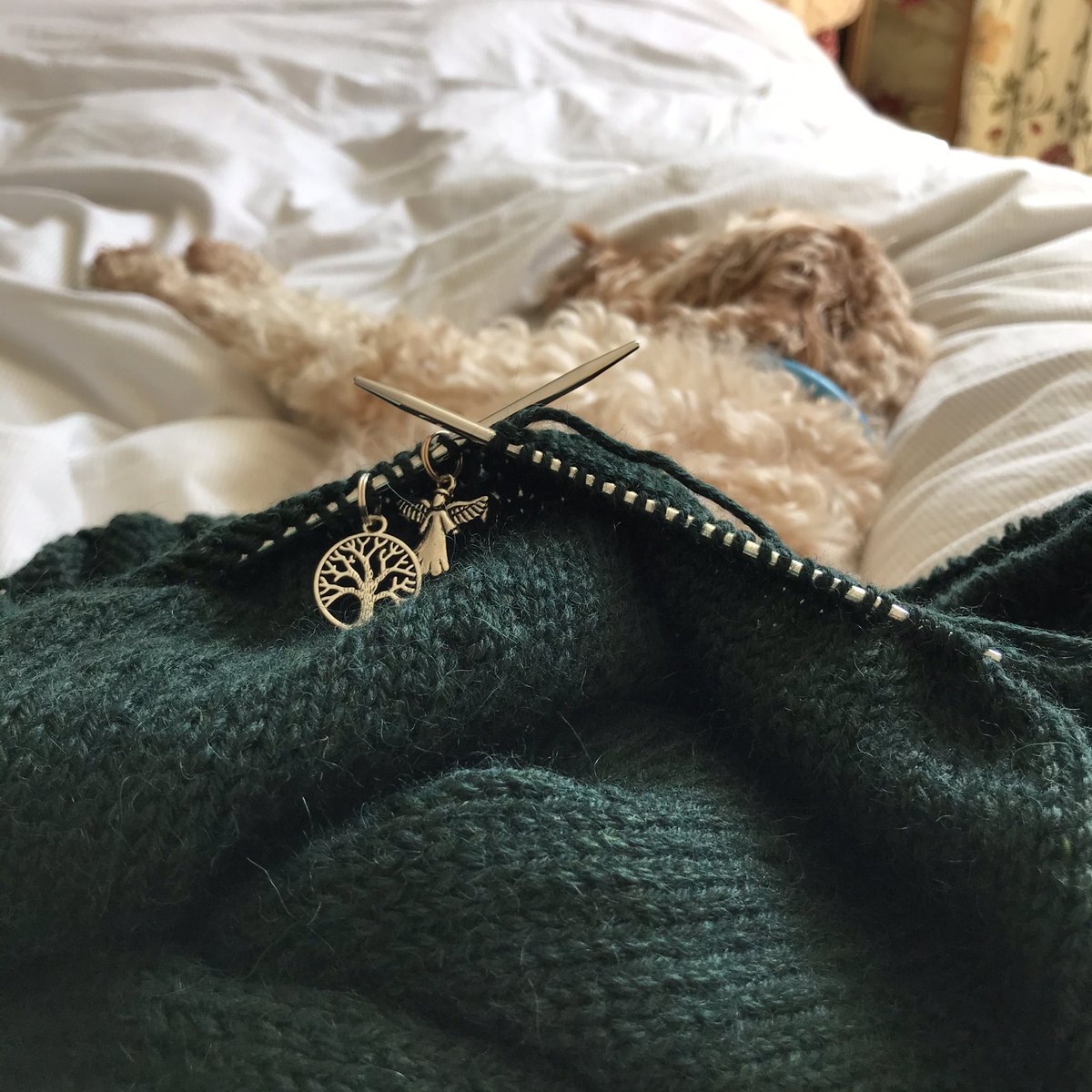 CotswoldPenny's tweet photo. Coming out the other side.... π€
Wily fecking π¦ this
#uklockdown #NoTestsAvailable #cotswolds #loveournhs #preexistingconditions #fiveweeks #longroadahead #knittingtherapy https://t.co/9KDxsioza5