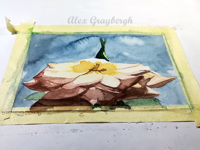 #watercolor base for my new #drawing of a #rose
#art #roseart #rosedrawing #flowerart #flowerdrawing #watercolorart #artontwitter #ArtistOnTwitter #artists #artinprogress #drawinginprogress #wip #workinprogress