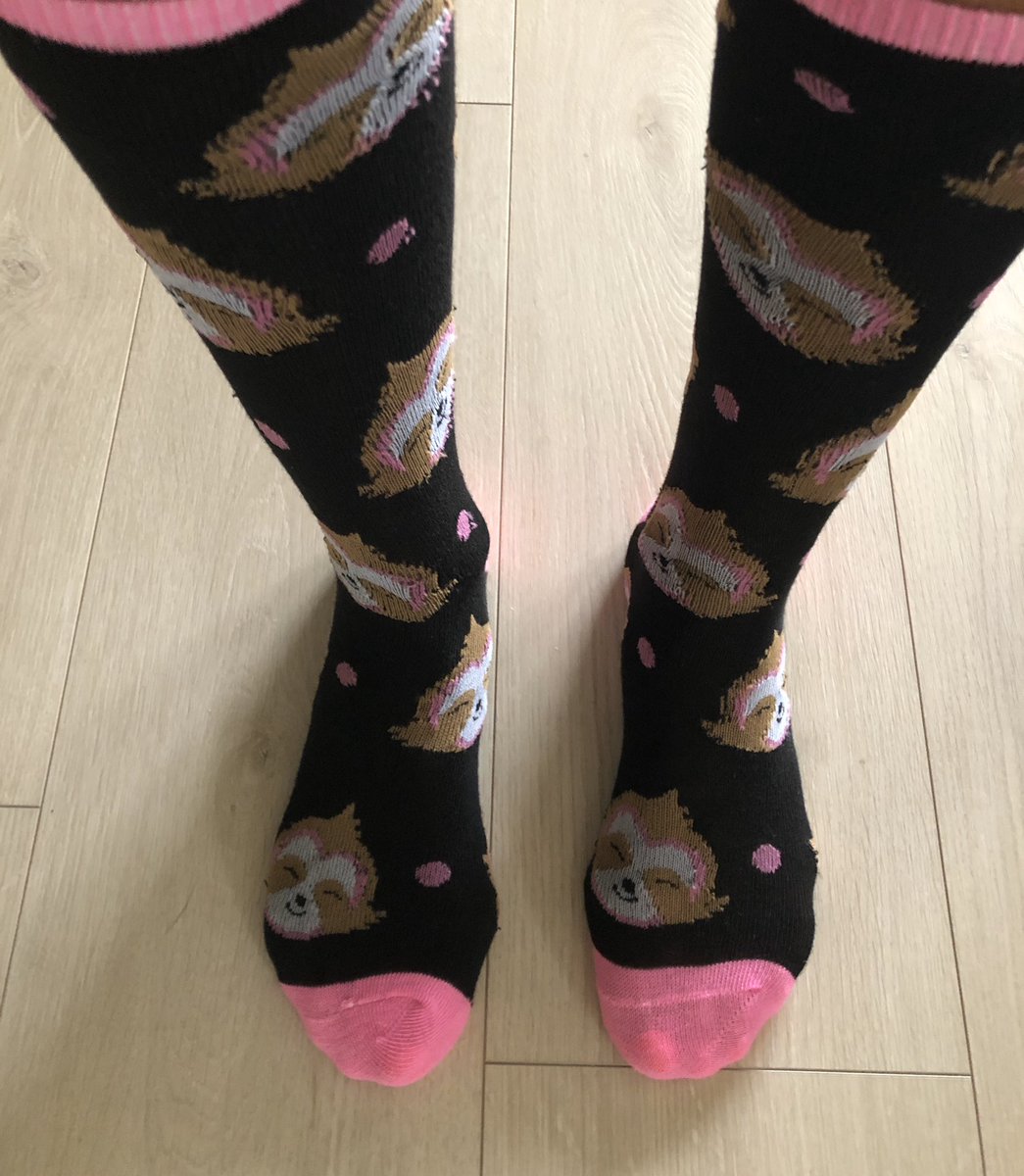 MrsPedersen1's tweet photo. Sporting my favorite sloth socks for crazy sock day!!
❤️🦥🧦🧦
@BCEBobcat https://t.co/AR2fkQ8NRV