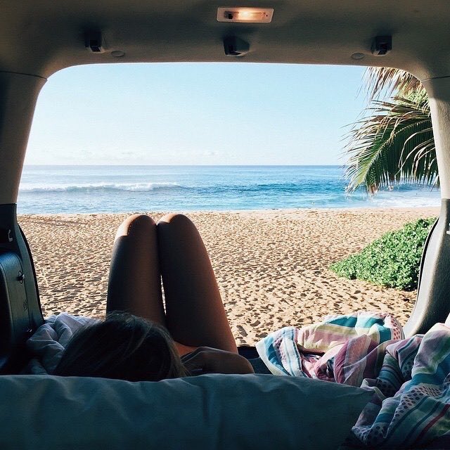 flamingosbikini's tweet photo. https://t.co/UANjwLZ4mS