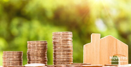 Vandaag maken we de jaarcijfers van Movares Group over 2019 bekend. Met een bedrijfsresultaat van € 2,9 miljoen uit de eigen bedrijfsvoering zijn de resultaten vergelijkbaar met 2018. De omzet groeide met 8,5% en de toegevoegde waarde nam toe met 4%. movares.nl/nieuws/jaarcij…