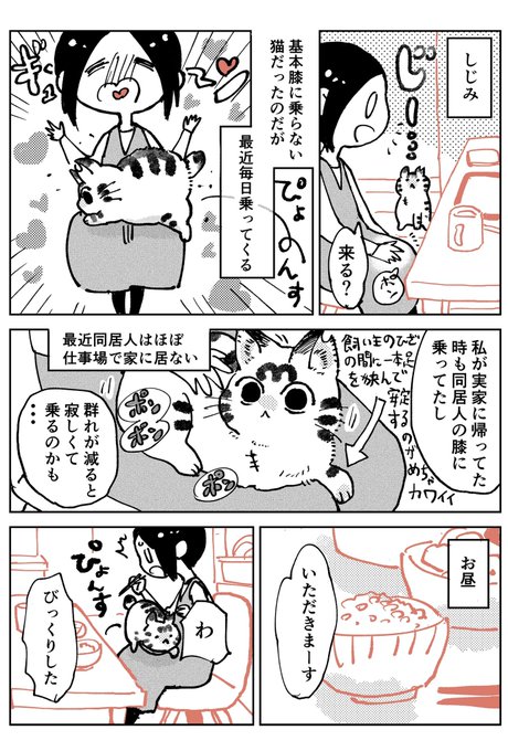 猫飼いました79 