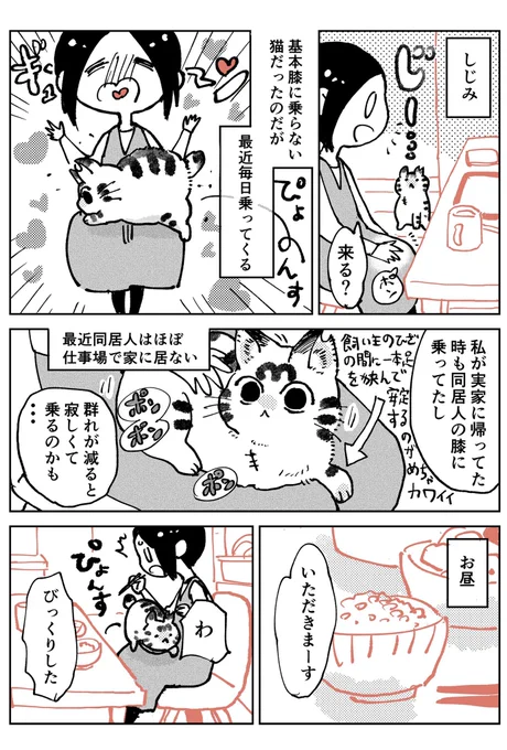 猫飼いました79 