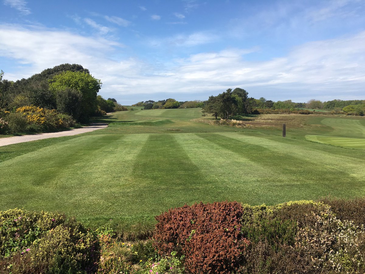 East Devon Golf Club tweet media