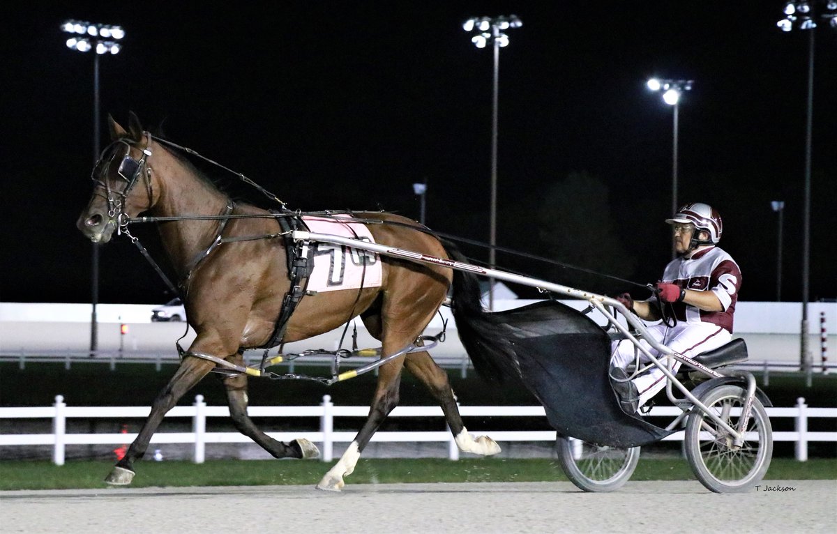 hoosiernations's tweet photo. Good Morning @K_Shetler @Chris_wponies @JoannKi32885615 @rebelsart @kimberlymoier @jtlburn @GlenPeckinpaugh @KathleenBaitzel @dolenski_john @elliotgordon2 @SadandSulk @vnssa926 @BradA53472906 @NateRheinheimer @HPEmilyG @INStandardbred @HoP_Racing #AdoringSpirit #DanShetler https://t.co/M7OSDGMush