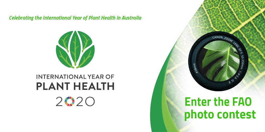 <a href="/AgChatOZ/">AgChatOZ</a> #agchatoz Calling all photographers! To celebrate the #IYPH2020 the <a href="/FAO/">Food and Agriculture Organization</a> is running a competition for photos of healthy and unhealthy plants. Winners will be invited to an important #planthealth event. Learn more: fao.org/plant-health-2…