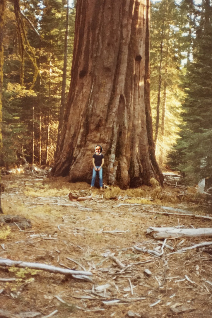 davidnwatts's tweet photo. @1anadams I have created a virtual visit for you to San Francisco and Yosemite to make up for not going to California. https://t.co/mq2t9i4Dyh