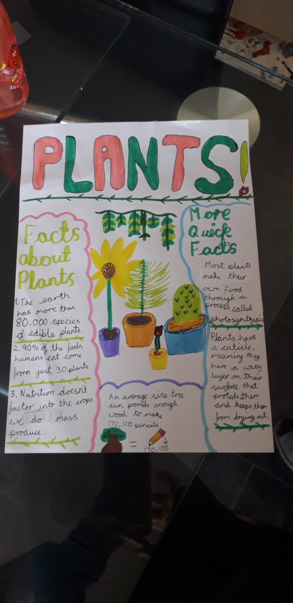 mum0206's tweet photo. @Newlands_PS Julia's plant creations🤗🤗🤗🌈🥰 https://t.co/JpcotfhPgv